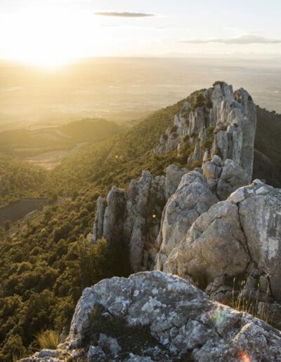 Provence